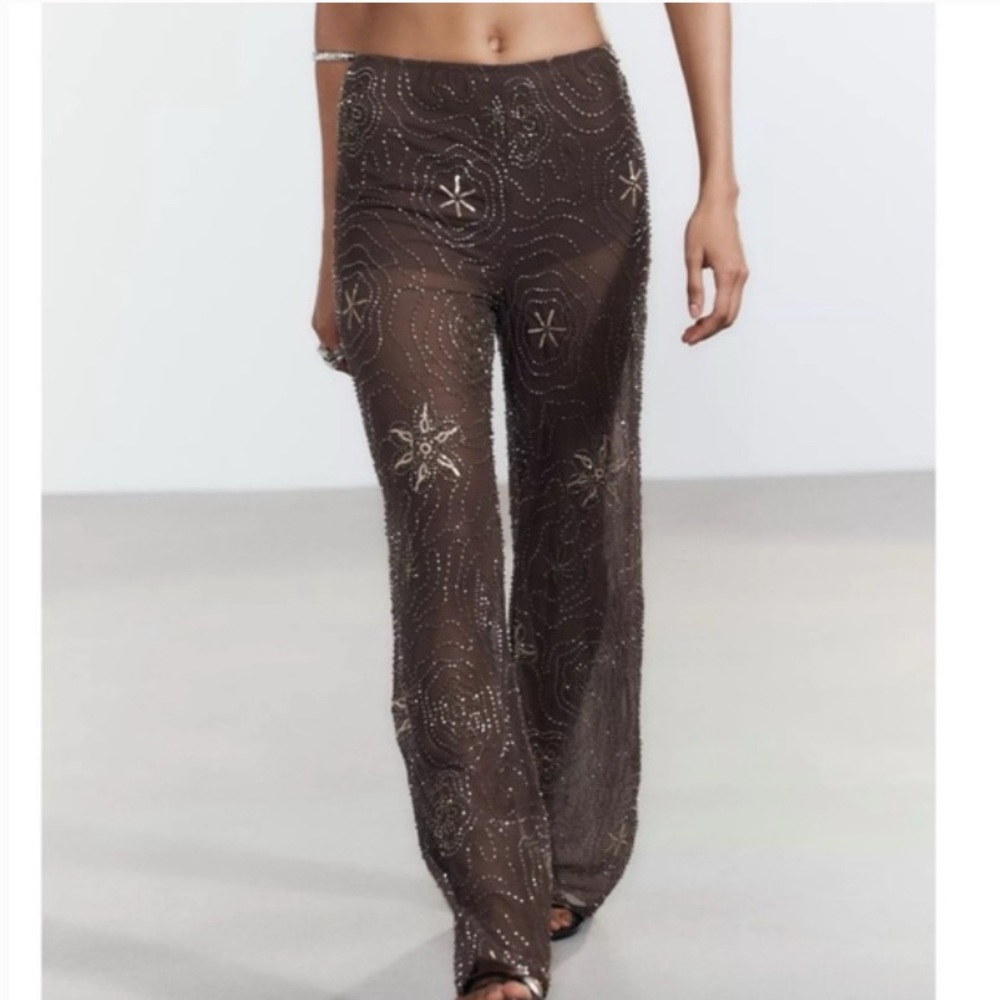 Zara NWT BEADED SEQUIN PANTS, size M, brown
Tags cut off
